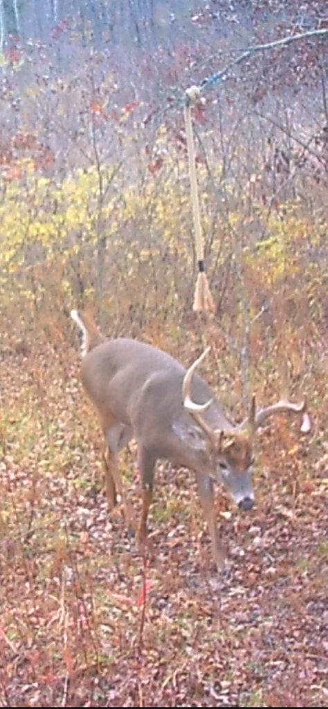 Classic Scrape Rope Kit