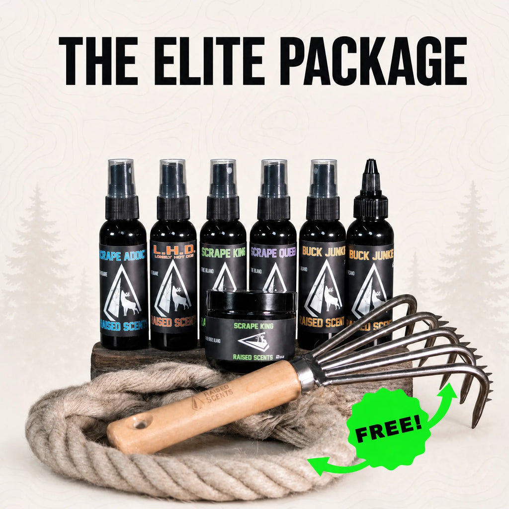 The Elite Package | All Scents All Seasons